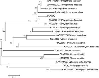 A Conserved Glycoside Hydrolase Family 7 Cellobiohydrolase PsGH7a of Phytophthora sojae Is Required for Full Virulence on Soybean